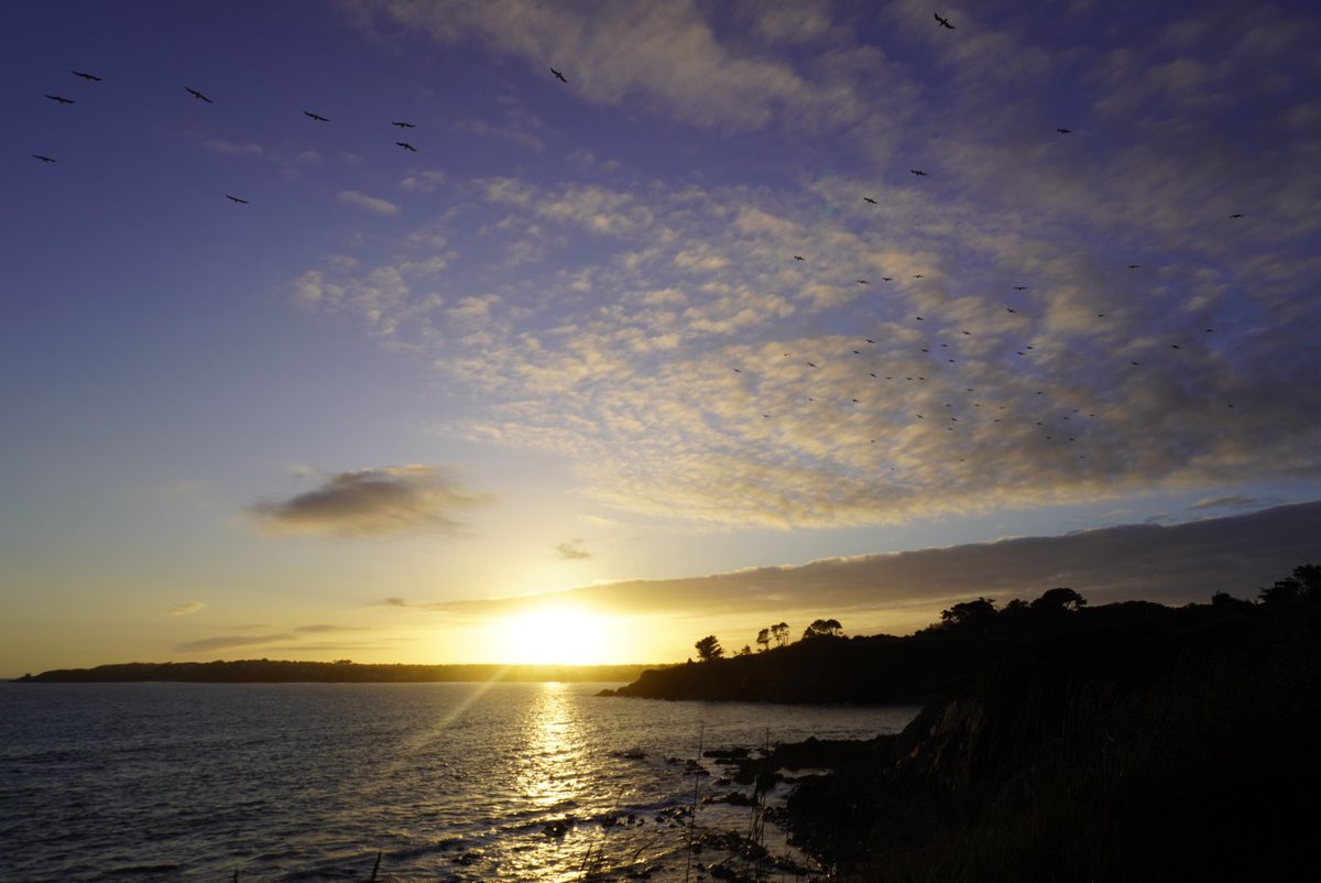 Luigi Gallucci tweet media