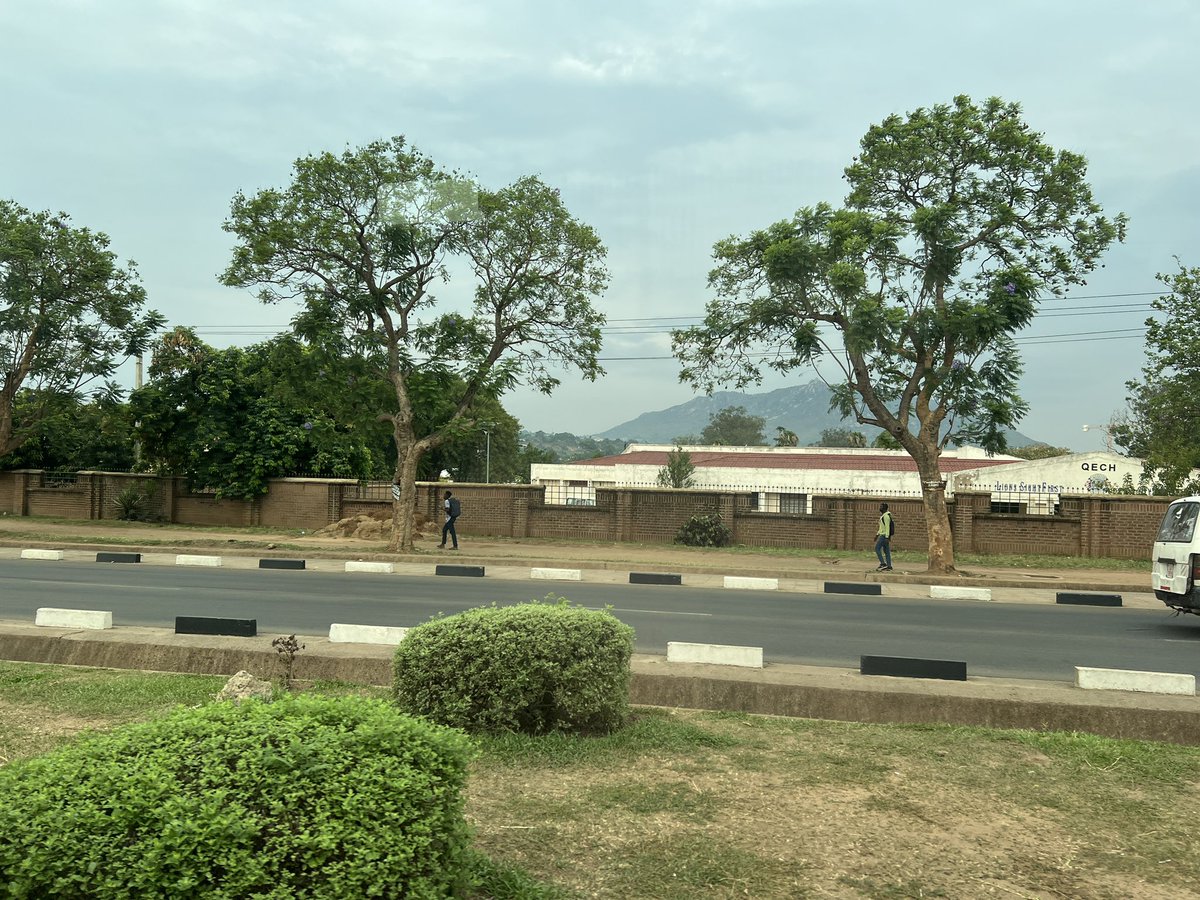 nawsheenh's tweet photo. This morning, we are heading to Mulanje for the #CDRFIforum field trip.
Stay tuned! https://t.co/u5UAIkd2Z7