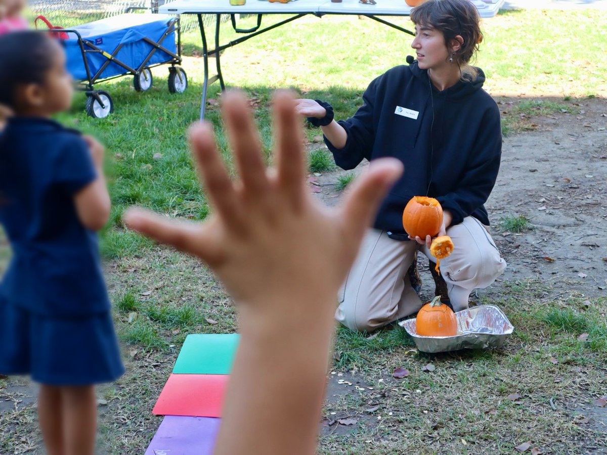 Ground Education tweet media