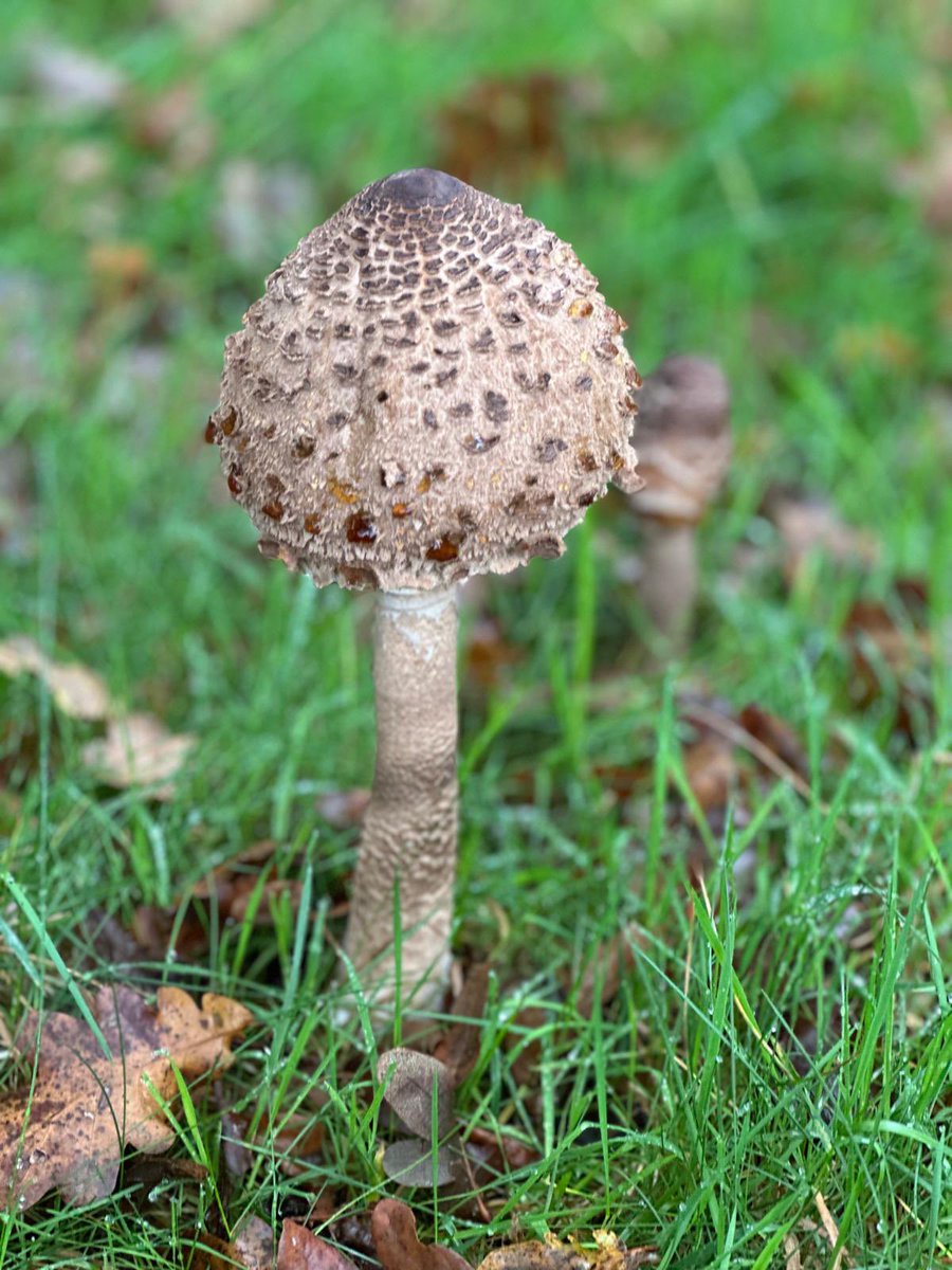 Ik vind het een leuk initiatief. Ik vraag iedereen die van de natuur houdt een foto te plaatsen. Een foto die jijzelf genomen hebt. Alleen een foto, geen omschrijving. Het doel is om een beetje rust en balans in de negatieve sfeer te creëeren. Doe je mee? Kopieer de tekst en deel