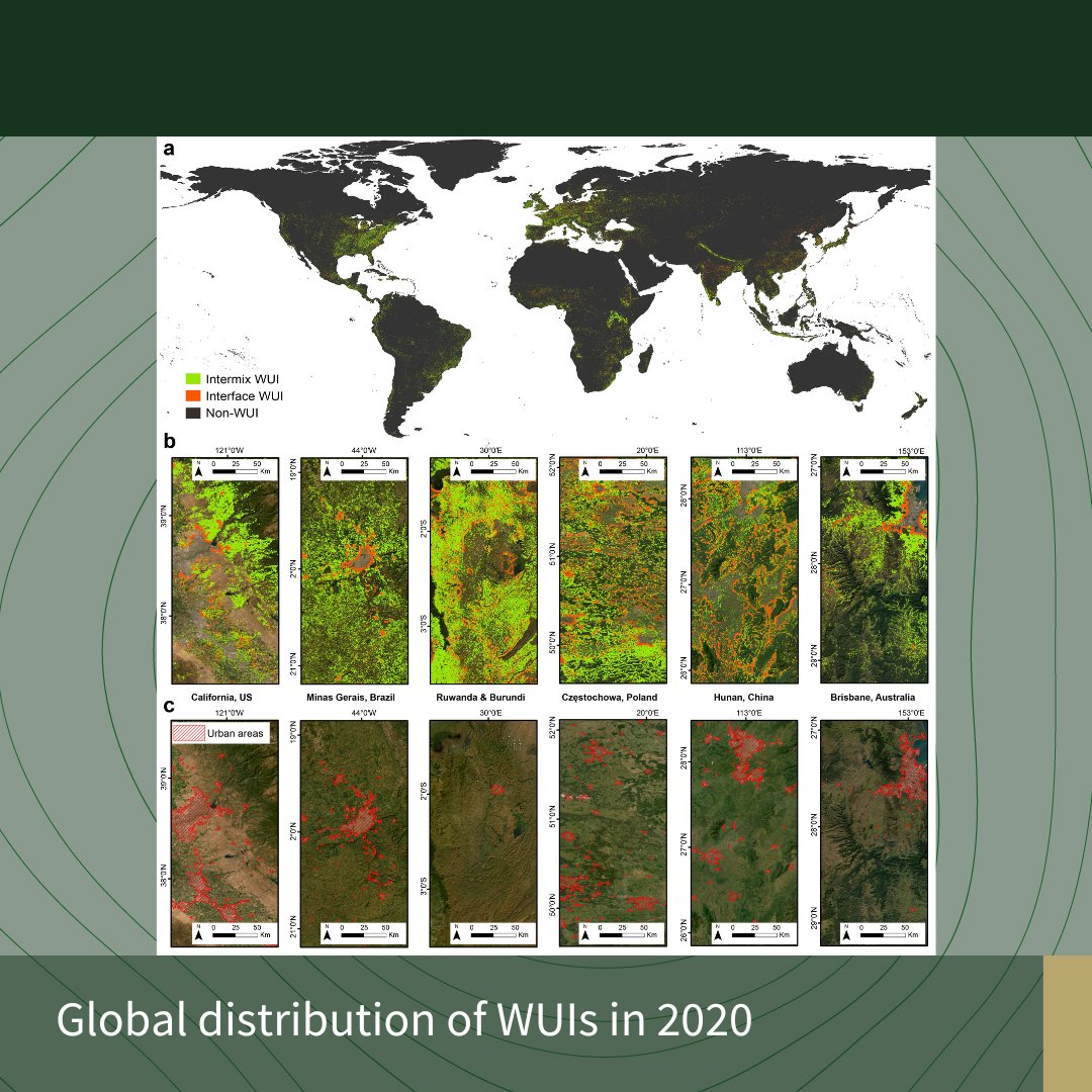 Prof. <a href="/binleychen/">Bin Chen</a> at #HKU uses advanced tech to map coastal defences &amp; predict vulnerabilities to tackle #ClimateChange &amp; maintain resilient ecosystems. More at sciencedirect.com/science/articl…

#HKU #香港大學 #UniversityofHongKong #RemoteSensing #GIS #Sustainability #ClimateChange