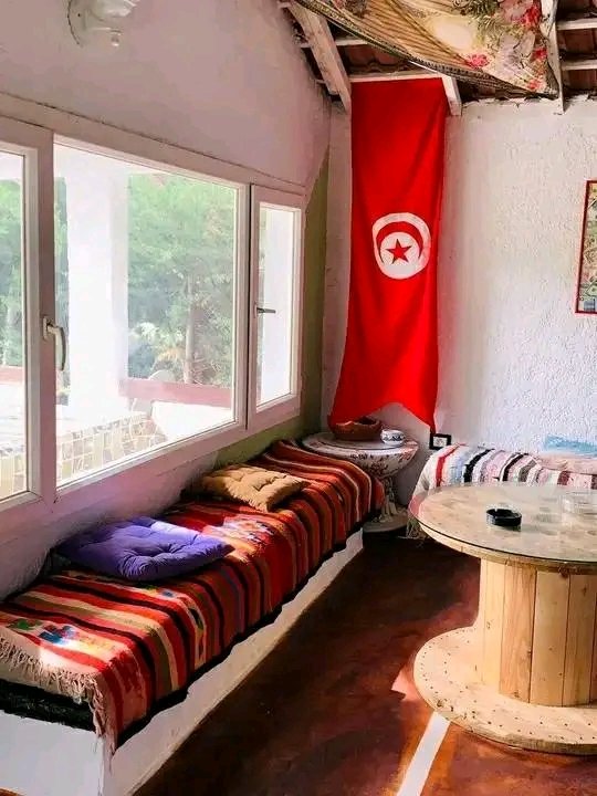 NiNo61108710's tweet image. هو شمال الكل فيه راحة نفسية ممتعة وجميلة
من طبرقة، لعندراهم، لبني مطير ،لباجة ..لكن هناك مكان اسمه دار الفلاح  في عين صبح طبرقة بلاصة ياسر مزيانة ترتاح فيها وتستجم في ربوع الطبيعة الغلابة  ❤❤