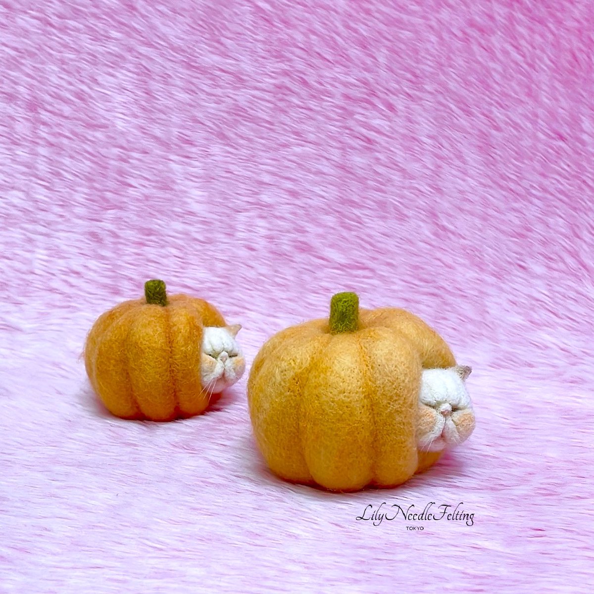 🎃 Happy Halloween 🎃 

羊毛フェルトのエキゾチックねこさん🐾

#Halloween  #ハロウィン