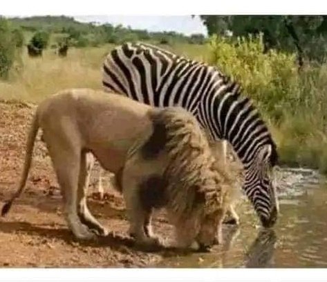 How does a man overcome the fear of his woman excelling and getting better opportunities than his