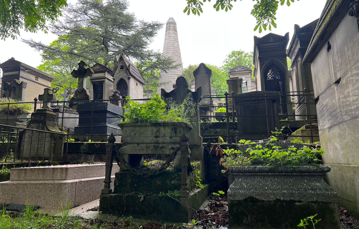 Toussaint : Où se trouve le plus grand cimetière de France ? dlvr.it/TFvnvD