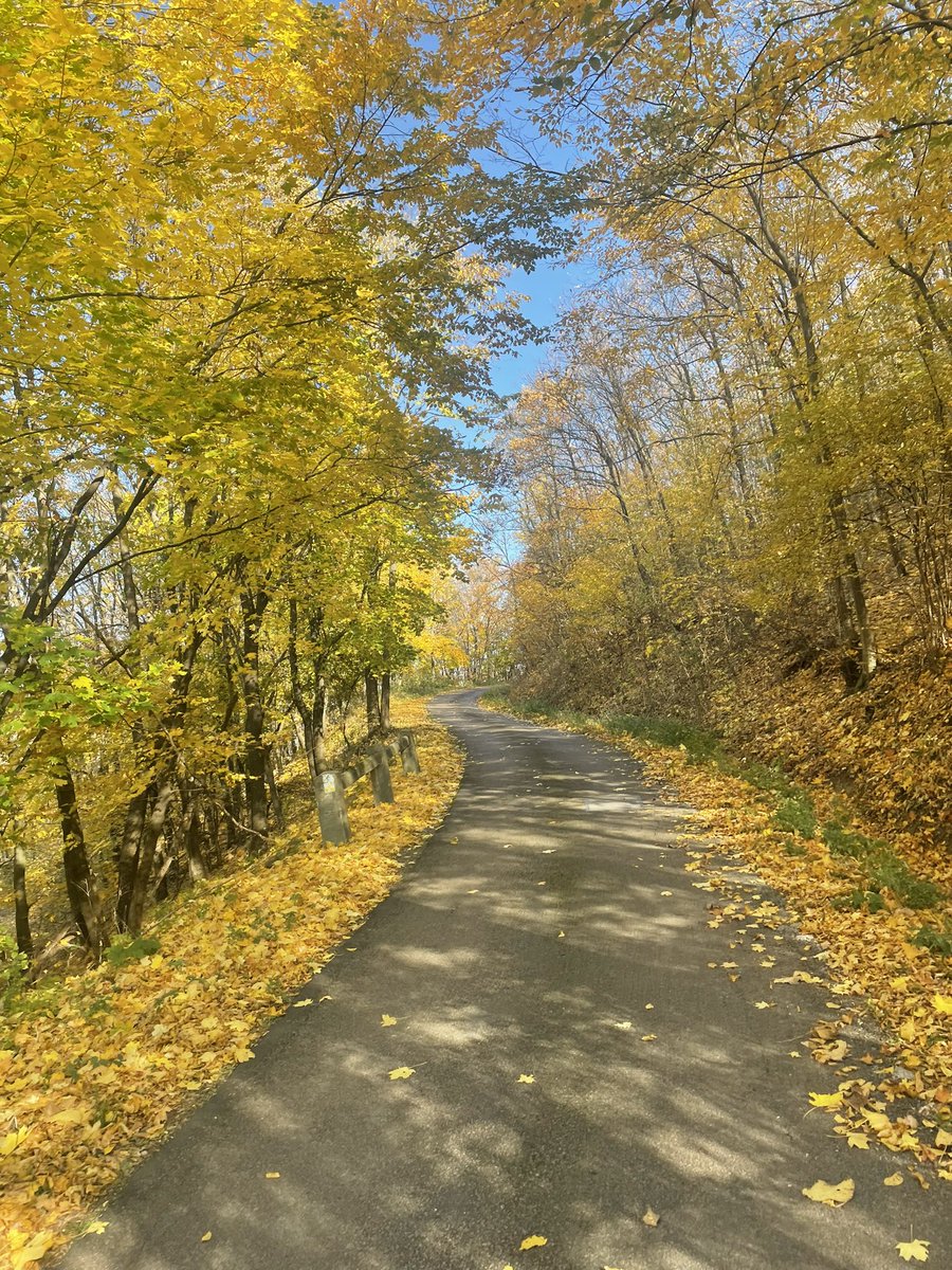 balazspeti01's tweet photo. Azért megvan a bája az őszi erdőnek a Bükk fennsíkon… 🥹 #gravel #gravelbike #esbringa #merida #meridabike https://t.co/tZmT7cWAE1