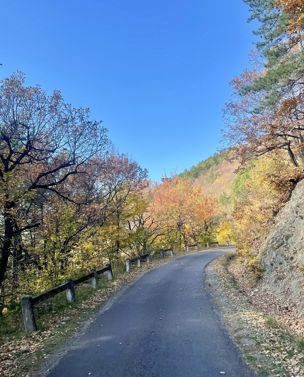 balazspeti01's tweet photo. Azért megvan a bája az őszi erdőnek a Bükk fennsíkon… 🥹 #gravel #gravelbike #esbringa #merida #meridabike https://t.co/tZmT7cWAE1