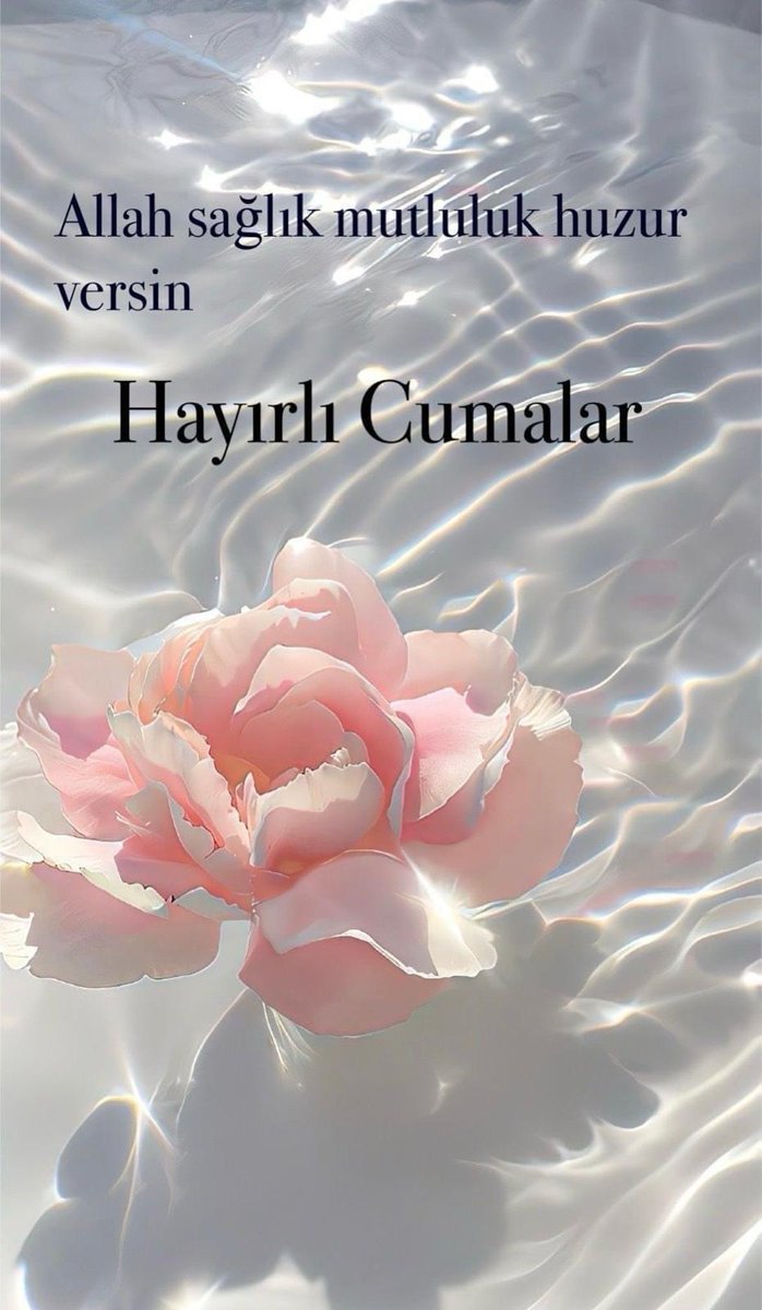 ERDAL SERT (@erdalse18822149) on Twitter photo 