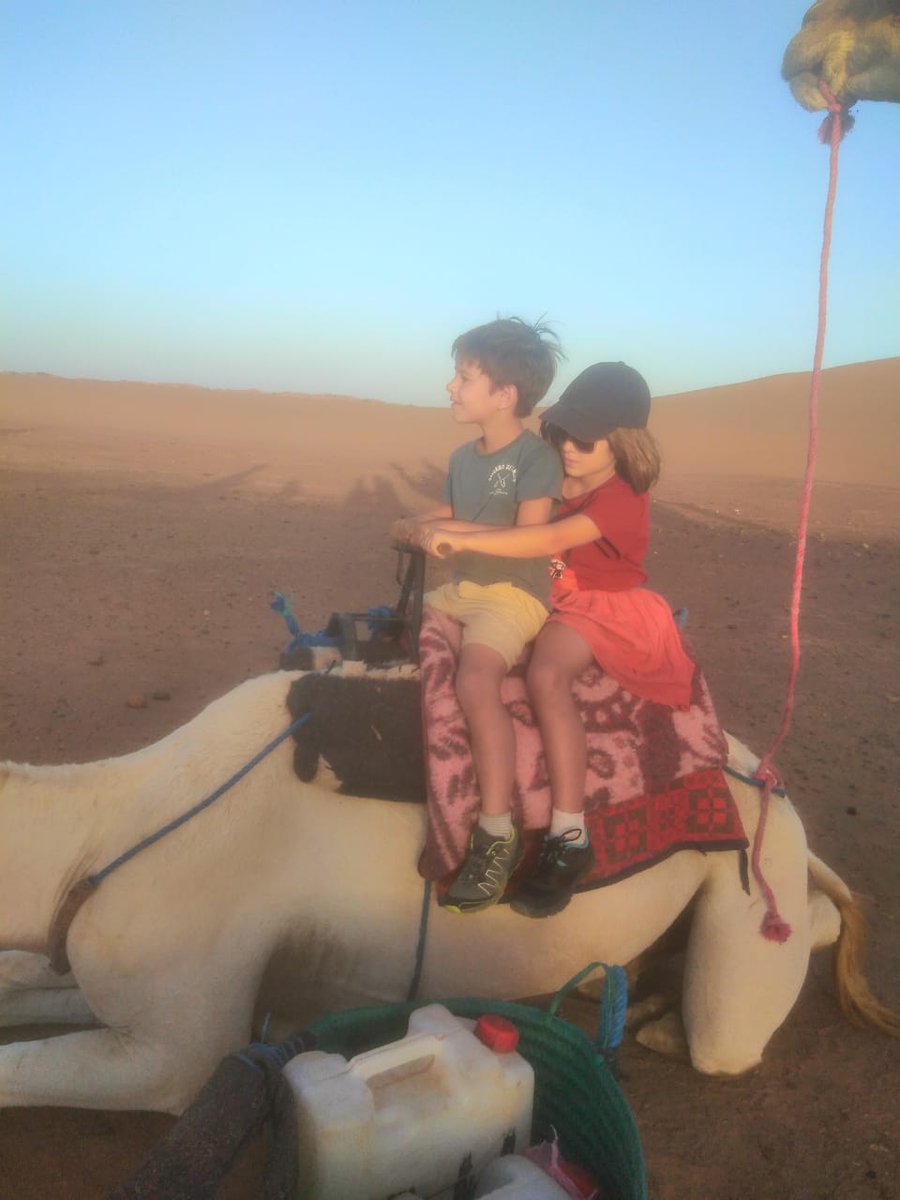 anne pican tweet media