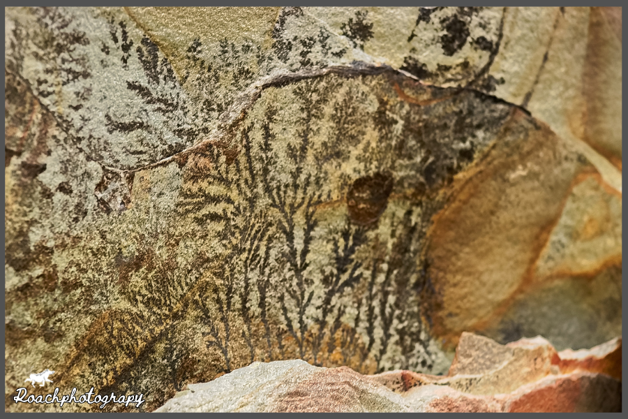 Nature’s artwork, dendrite pseudofossils
#roachphotography #dendrite #pseudofossils #Geology #landscapephotography #art #NatureArt #artphotography #natureartwork #wildearth #NatureBeauty #NaturePhotography #picoftheday #wanderlust #blupebblestours 🌍Stormsriver Suspension Bridge