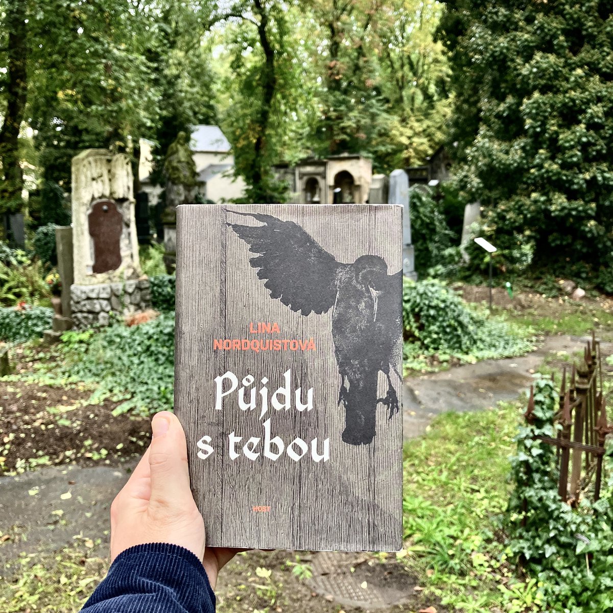 Skandinávský dům tweet media