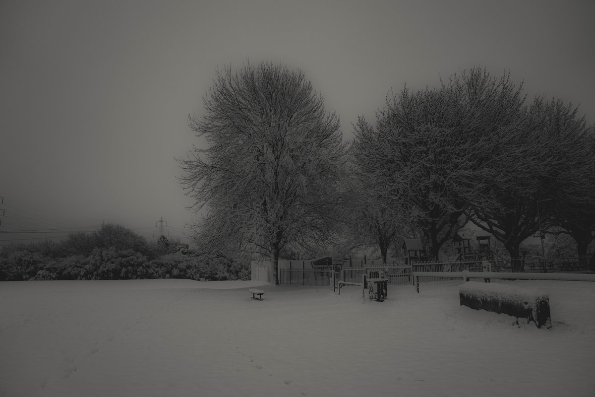 zosphotos's tweet photo. Mornings like this https://t.co/gMZiPlXGFt