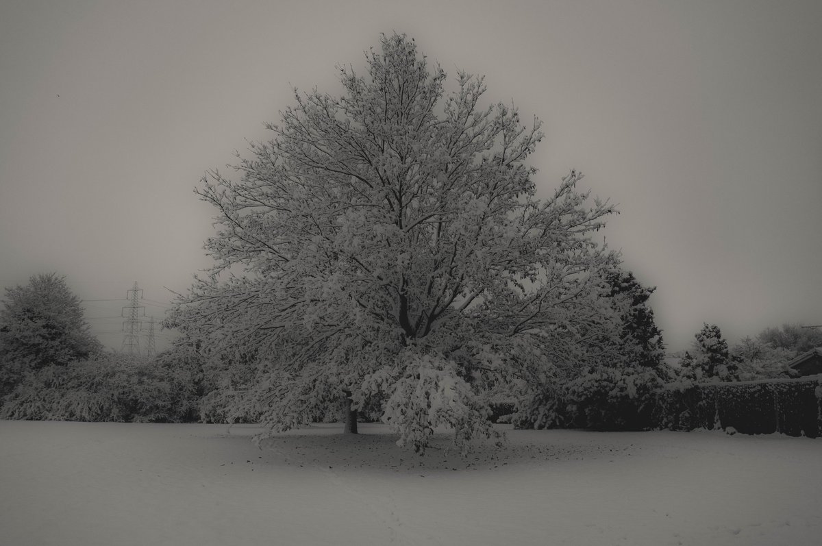 zosphotos's tweet photo. Mornings like this https://t.co/gMZiPlXGFt