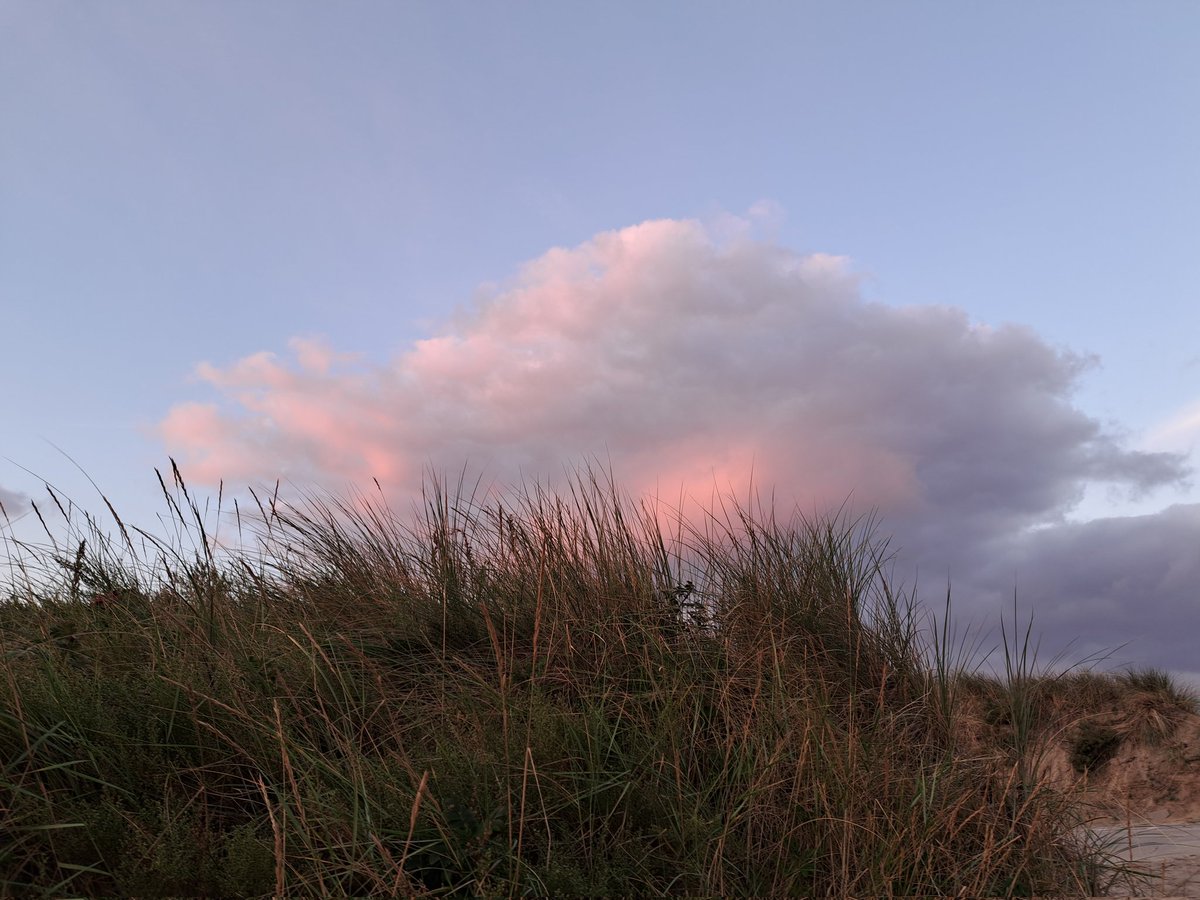 Ik vind het een leuk initiatief. Ik vraag iedereen die van de natuur houdt een foto te plaatsen. Een foto die jijzelf genomen hebt. Alleen een foto, geen omschrijving. Het doel is om een beetje rust en balans in de negatieve sfeer te creëeren. Doe je mee? Kopieer de tekst en deel