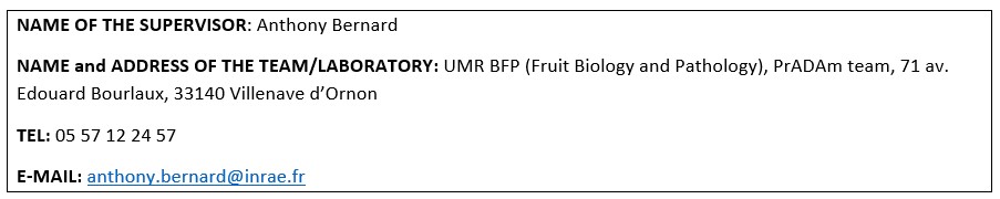 INRAE UMR1332 BFP (@inrae_bfp) on Twitter photo 🍒 The PrADAm team (UMR BFP, INRAE Bordeaux) is looking for an M2 intern on sweet cherry!
🌸 The subject? To compare the predictive capacity between genomic and phenomic prediction of flowering date.
😎 The work? In the orchards, at the bench and a bit of data modeling!
🔽 See! 🍒 The PrADAm team (UMR BFP, INRAE Bordeaux) is looking for an M2 intern on sweet cherry!
🌸 The subject? To compare the predictive capacity between genomic and phenomic prediction of flowering date.
😎 The work? In the orchards, at the bench and a bit of data modeling!
🔽 See!