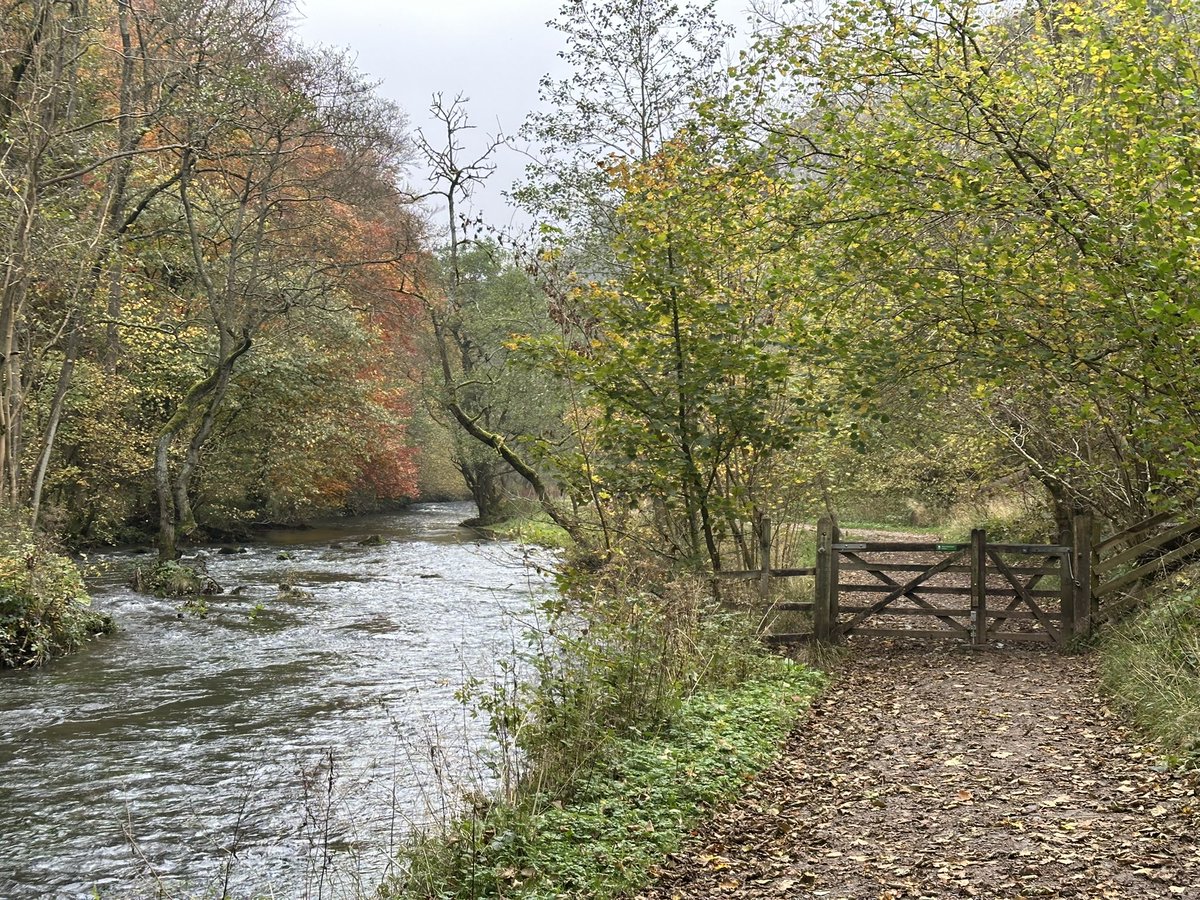JenWalkingUK's tweet photo. There’s a stunning autumnal display of colours in the #PeakDistrict at the moment. My favourite time of year for walking 🍁 🍂 🍃😍 https://t.co/wqzqUPUgbf