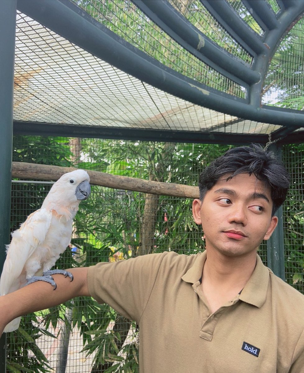 mamasdino18's tweet photo. Burungnya berani main bareng, sm km kapan? https://t.co/Zs3hcdmCbQ