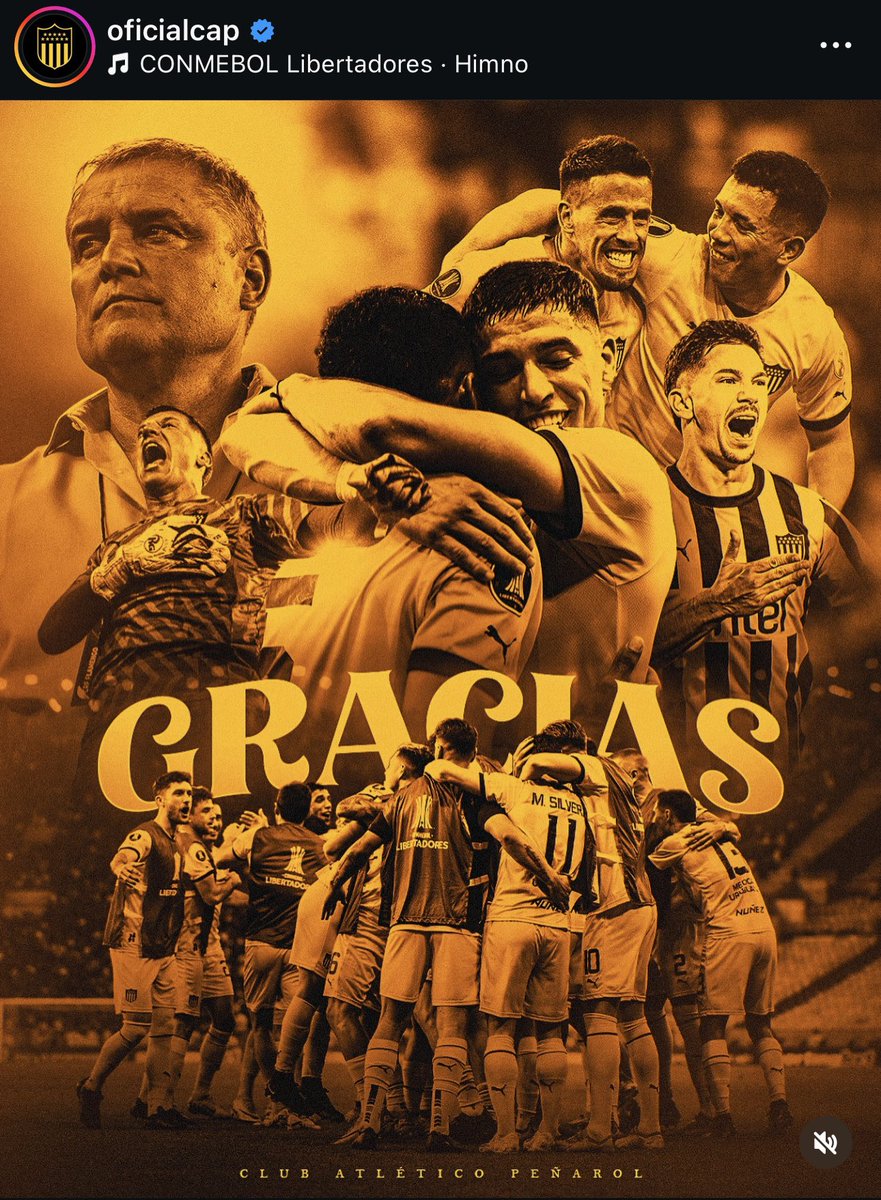 Nico Rotundo tweet media