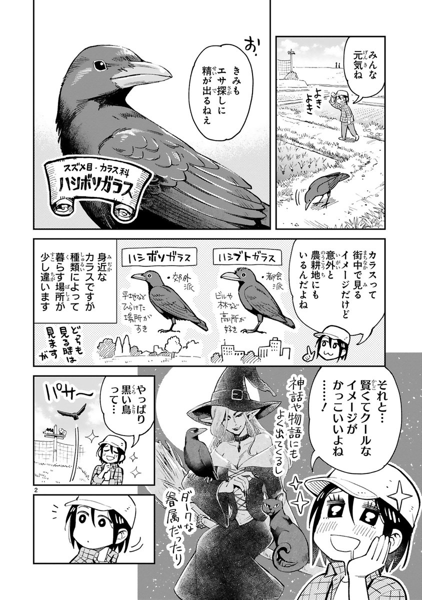 【10/31更新】
✨コミックス第①巻 1/15発売!✨
『まいにち鳥びより』
第8羽 カラスのおはなし
https://t.co/NCMpRIL3v8
漆黒でかっこいいイメージのカラス🖤
散歩しているとカラスの巣がまさかの場所に⁉️🪺
#COMICポラリス
