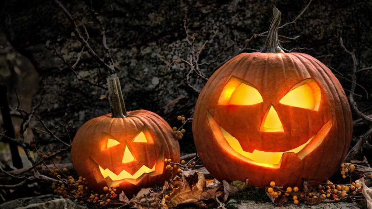 Sandy Vaile - Fiction Coach tweet media