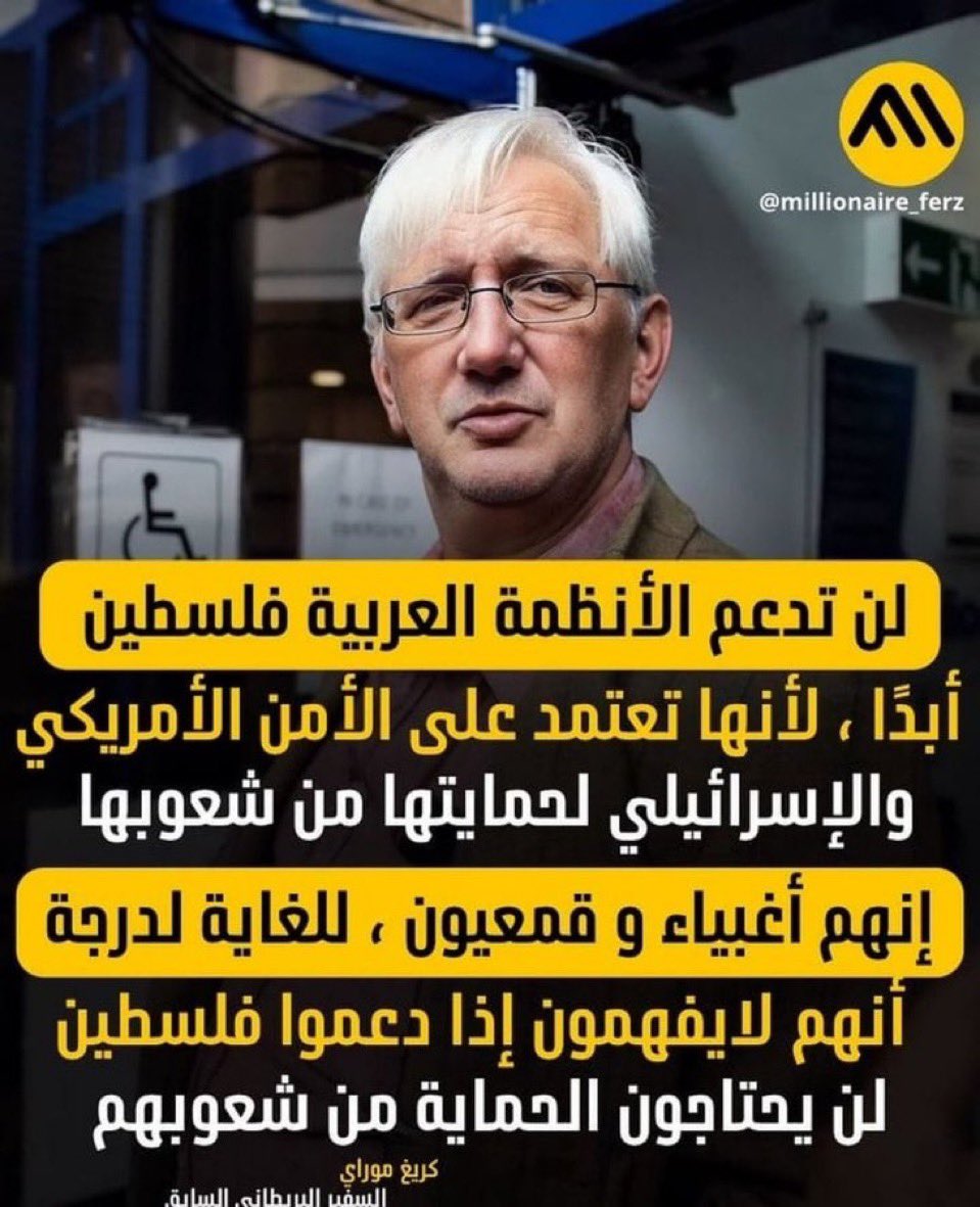 Aya Hijazi آية حجازي tweet media
