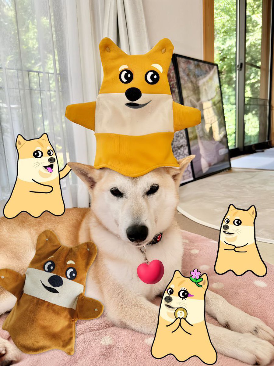 jrdkzn's tweet image. Just buy $SHIBU and relax 

The ultimate PVE coin on the market

$DOGE artist @Fantoumi endorses it