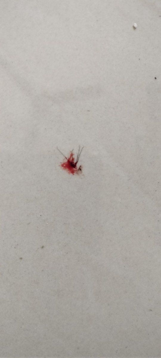 srcools0202's tweet image. Narakashuran died,