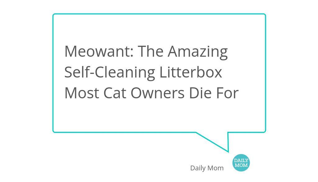 The MeoWant Self-Cleaning Litter Box opening is wider and lower than most litterboxes, making it easier for cats of all ages and abilities to enter to do their business.

Read more 👉 lttr.ai/AYXr1

#CatLitterbox #Dailymom #MeowantSelfCleaningLitterbox #Parenting