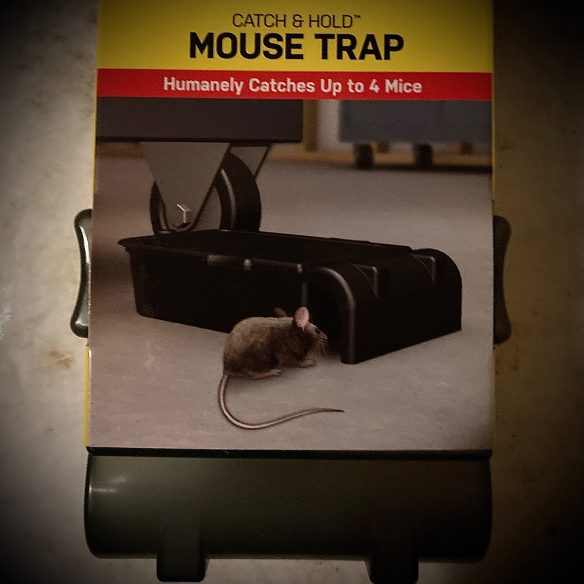 Richard Buckner tweet media