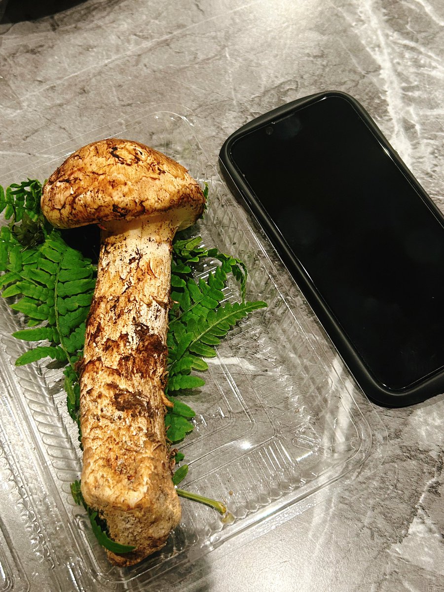 Ｍひめ tweet media