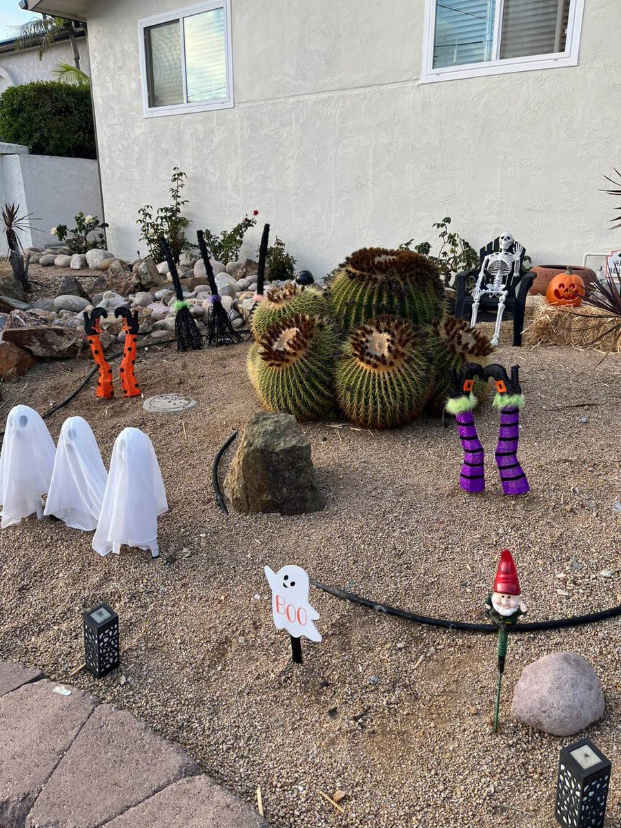 Trinity5206's tweet image. Spent the whole day with my best friend, joyfully and busily preparing various candies and carefully setting up Halloween decorations. Our hearts are filled with anticipation for the upcoming festivities and magic of this holiday.
@Halloween #USA #LosAngeles #BestFriend