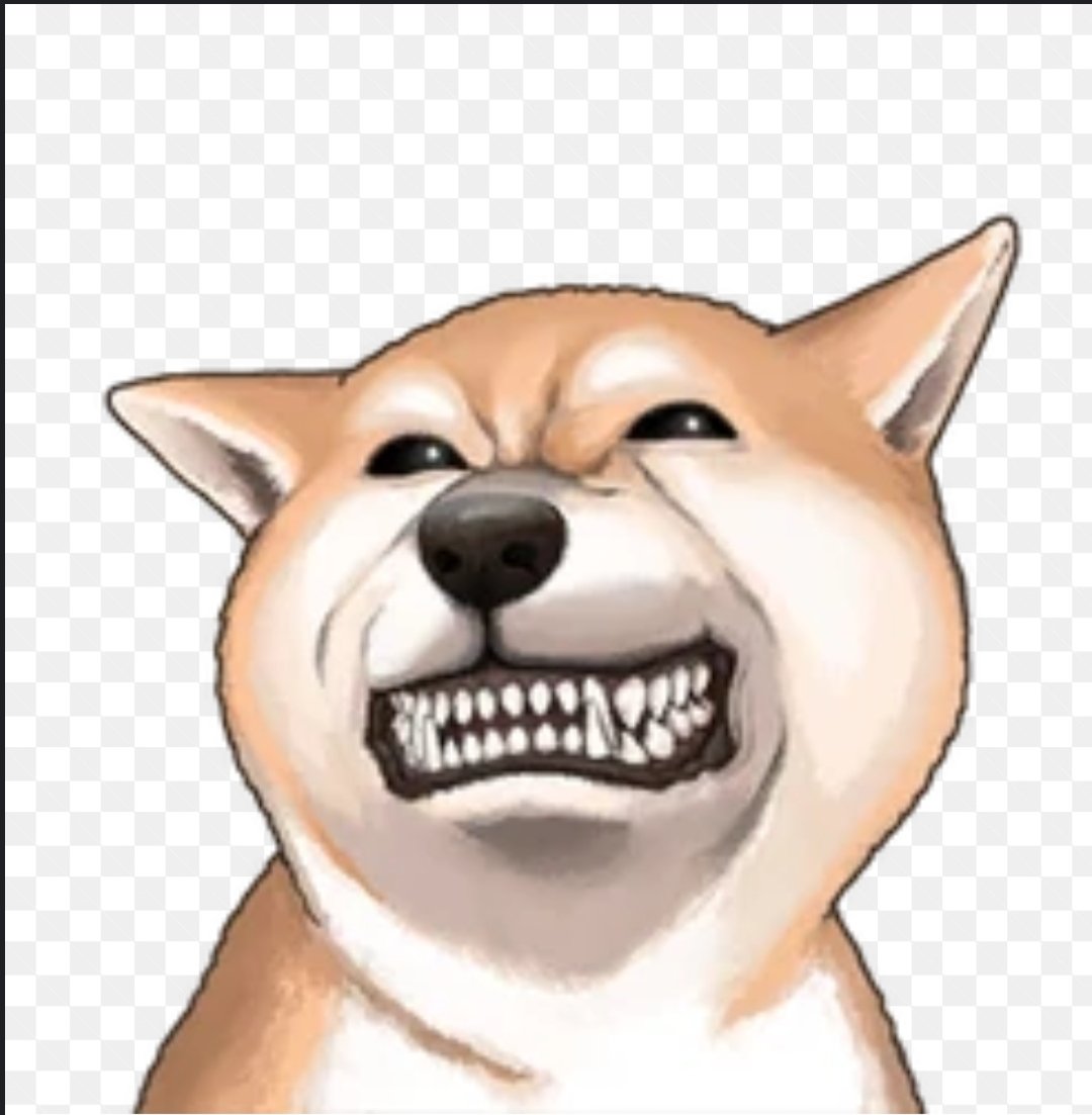 PrintedPult's tweet photo. Day 30 of AA Halloween a.k.a HalloweenEve is the best boy: Missile as a pumpkin dog!

#AceAttorney https://t.co/bWQXX12JsR