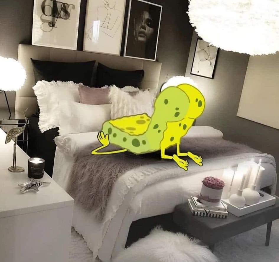 turixxxmomx2021's tweet image. Comparte este Bob esponja para que tengas muchas cariñosas 

Jajajajaja