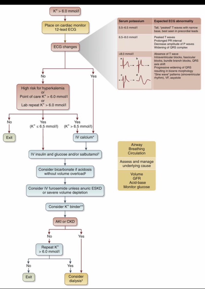 JasmineNephro's tweet photo. 🫘Manage Hyperkalemia 

https://t.co/B1RFOTyZGB

@Kidney_Int https://t.co/i1CUMktaq1