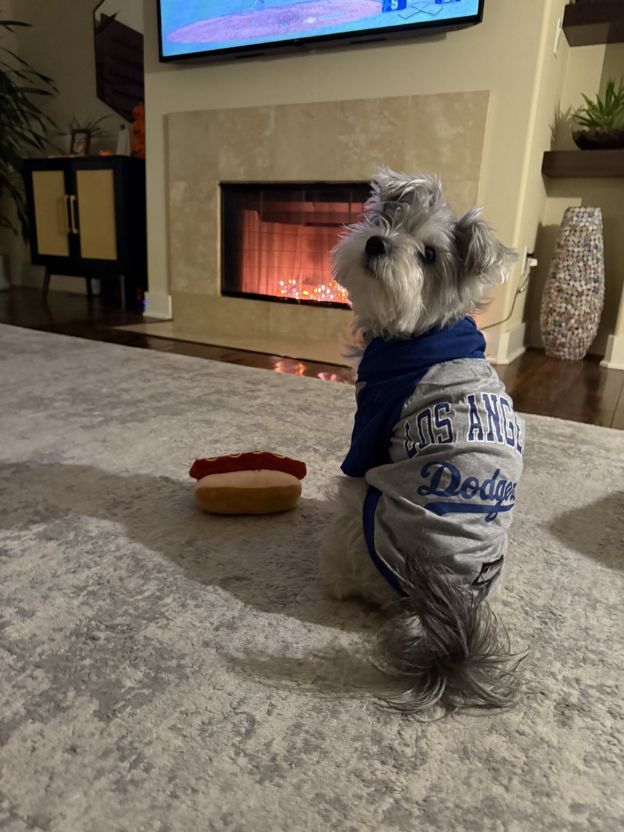Dodgers win!!!!!
