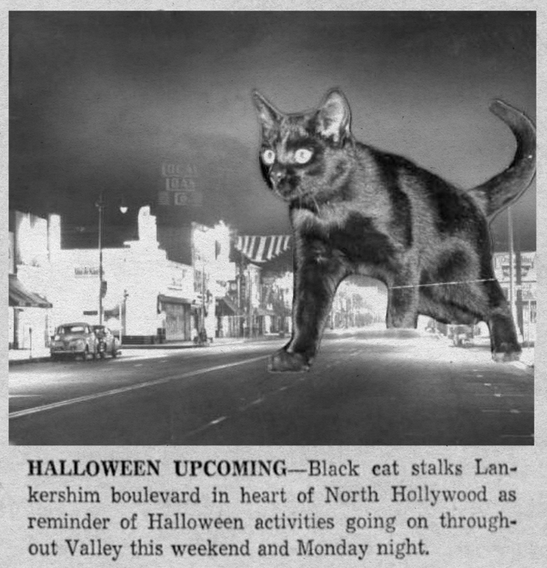 Valley Times, North Hollywood, California, October 26, 1955