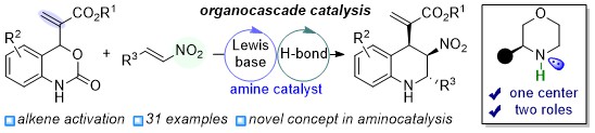 Yidong Liu (@yidongliu1) on Twitter photo Excited to share our latest paper on organocascade catalysis! The single amine catalyst functions sequentially as both a Lewis base and a hydrogen-bonding catalyst, enabling the construction of tetrahydroquinolines.
pubs.acs.org/doi/10.1021/ac… Excited to share our latest paper on organocascade catalysis! The single amine catalyst functions sequentially as both a Lewis base and a hydrogen-bonding catalyst, enabling the construction of tetrahydroquinolines.
pubs.acs.org/doi/10.1021/ac…