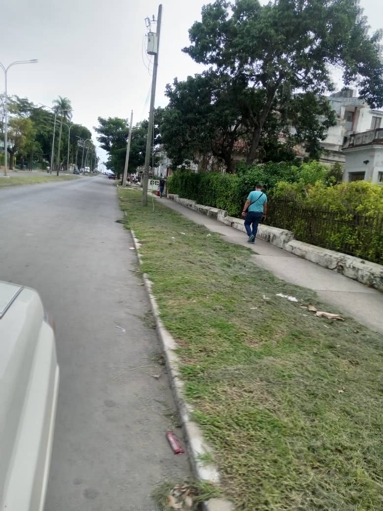 Limpieza y embellecimento de las áreas verdes y puentes de #LaHabanaViveEnMi .
