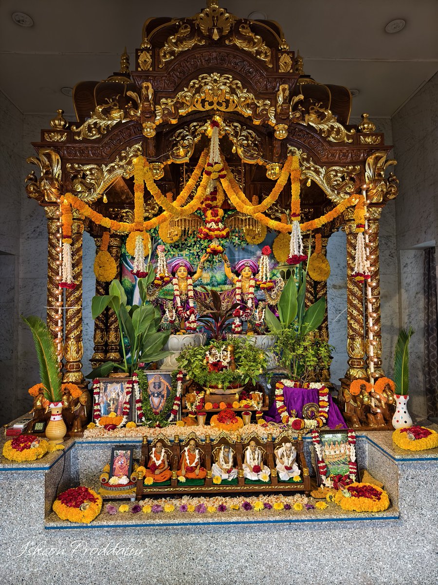 Today's special darshan of Sri Yashoda Damodar #ISKCON #dailydarshan  #TrendingStory #Trending