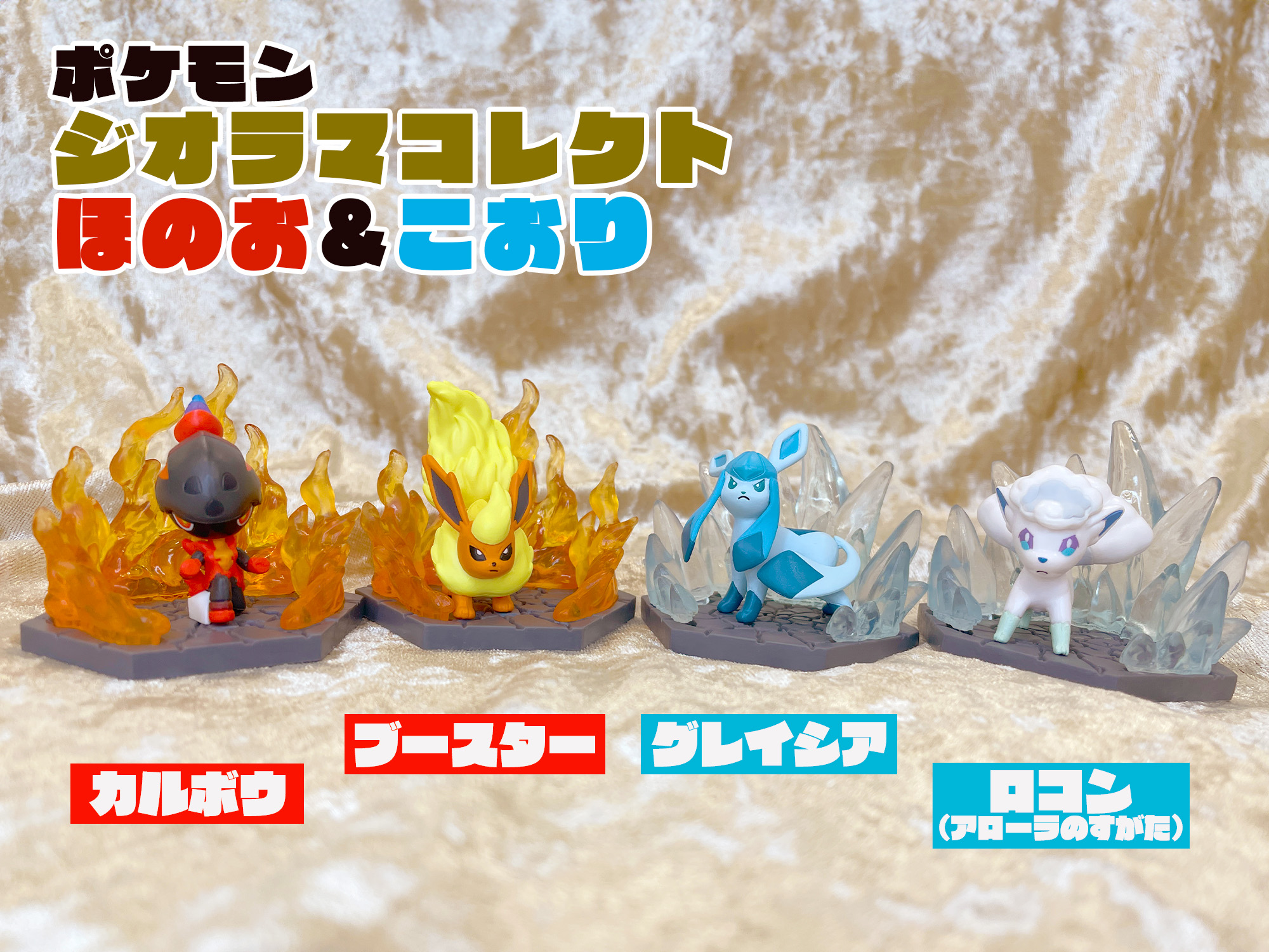 ポケモンだいすきクラブ編集部【公式】 on X: 