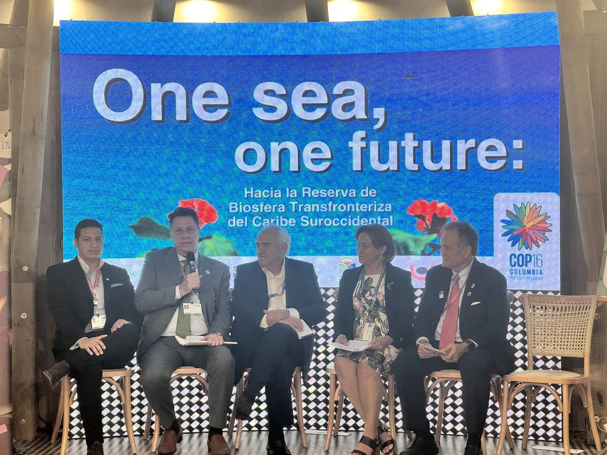 Laura Canevari tweet media