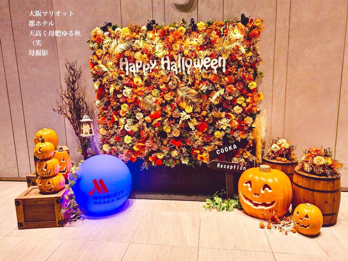 MIK_3MK_KTG's tweet photo. お疲れ様です💞
ハッピーハロウィン🎃👻🍫
先日は、ホテルでディナー。
今日は、ブロンコビリーで
ハンバ〜〜〜グ＆ステーキ。
開店直後に入店して料理が
来たら写真撮るの忘れてた
らしい（笑
まさに、天高く母肥ゆる秋。
今日も佳い１日を💓
＊
桑田佳祐さんcover
心の旅🎶
https://t.co/GsoABjKp1o https://t.co/fnuVBiiOtT
