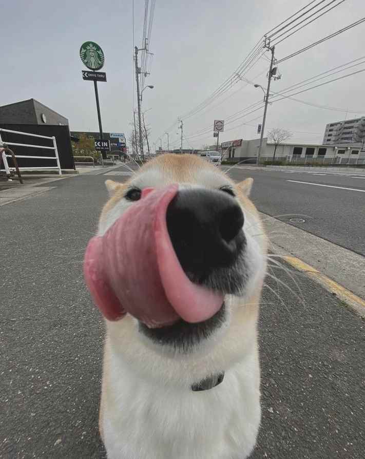 Machu29's tweet image. Ever considered the essence of Noche_Estrelladape?