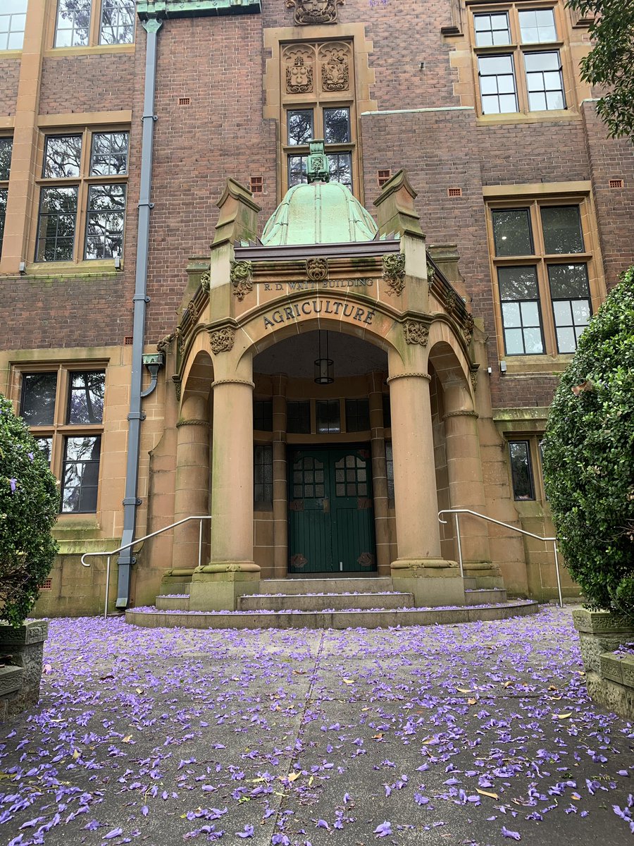 Alison Phipps አሊሰን 🧡🕊️ tweet media