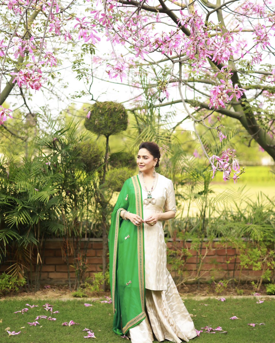 MadhuriDixit's tweet photo. Happiness, prosperity, and lots of sweets – may your Diwali be as joyful as it can be! Wishing you a very happy Diwali 🪔✨ https://t.co/bphpOtUndV