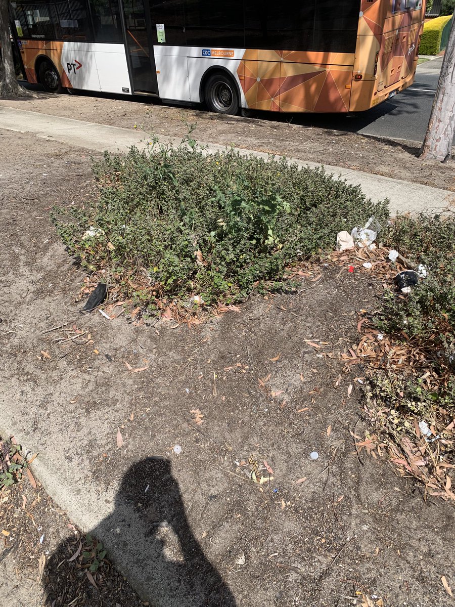 SwifttTransit's tweet image. Want to join the sustainability revolution? Earn crypto while making our planet healthy with @cleanify_vet for the #CleanUpChallenge 
#EcoWarrior