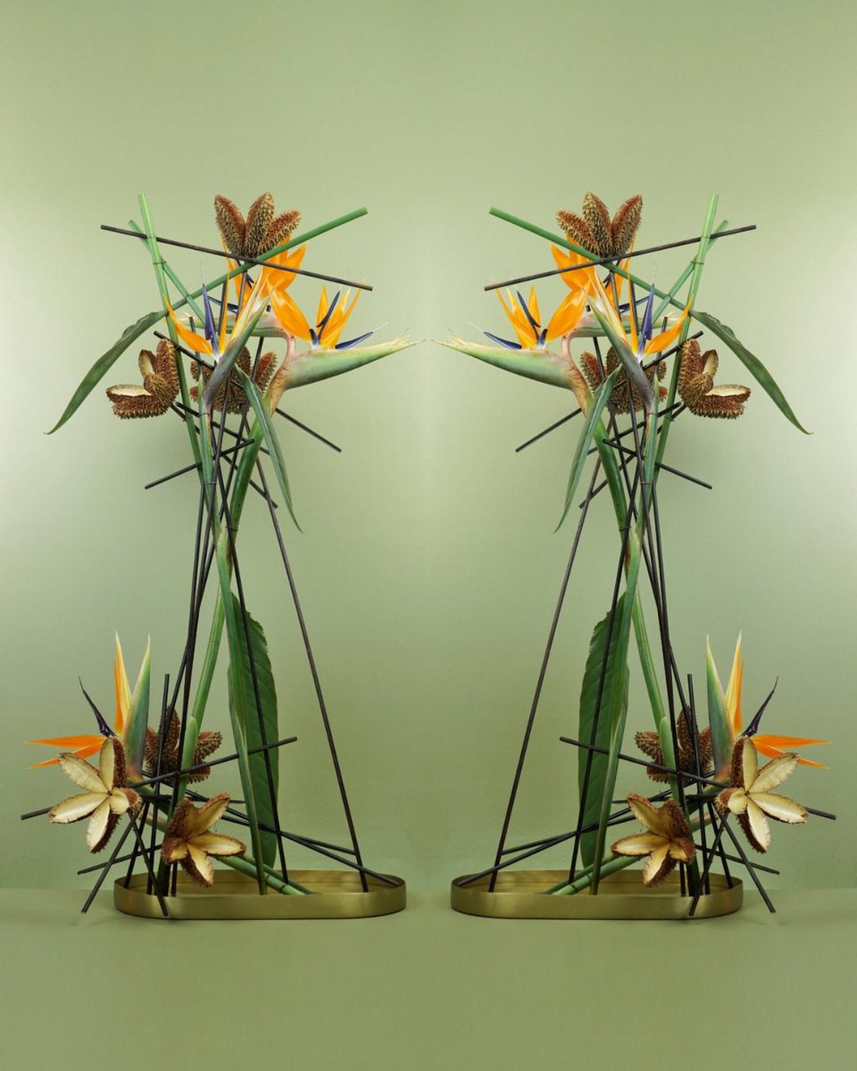 MarkPampling's tweet image. Birds and pods - in a ‘standing design’ or ‘bound composition’ (depending on the terminology you prefer) in a shallow tray of water. Created as an example for Design Solutions with Flower Thinking - using just two material varieties … Strelitzia and Flindersia australis pods.