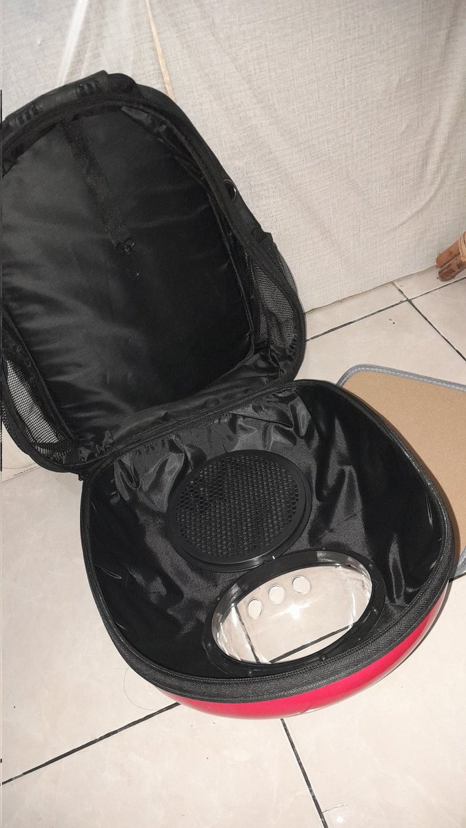 sukaesmilo's tweet image. WTS Tas kucing 
NEW‼️
blm pernah dipake sama sekali
100k
Dom sby
#taskucing 
#catlovers
#zonauang