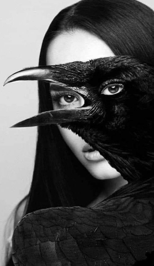 "No cuentes tus penas, los buitres se abalanzan sobre los animales heridos.🖤🖤🖤