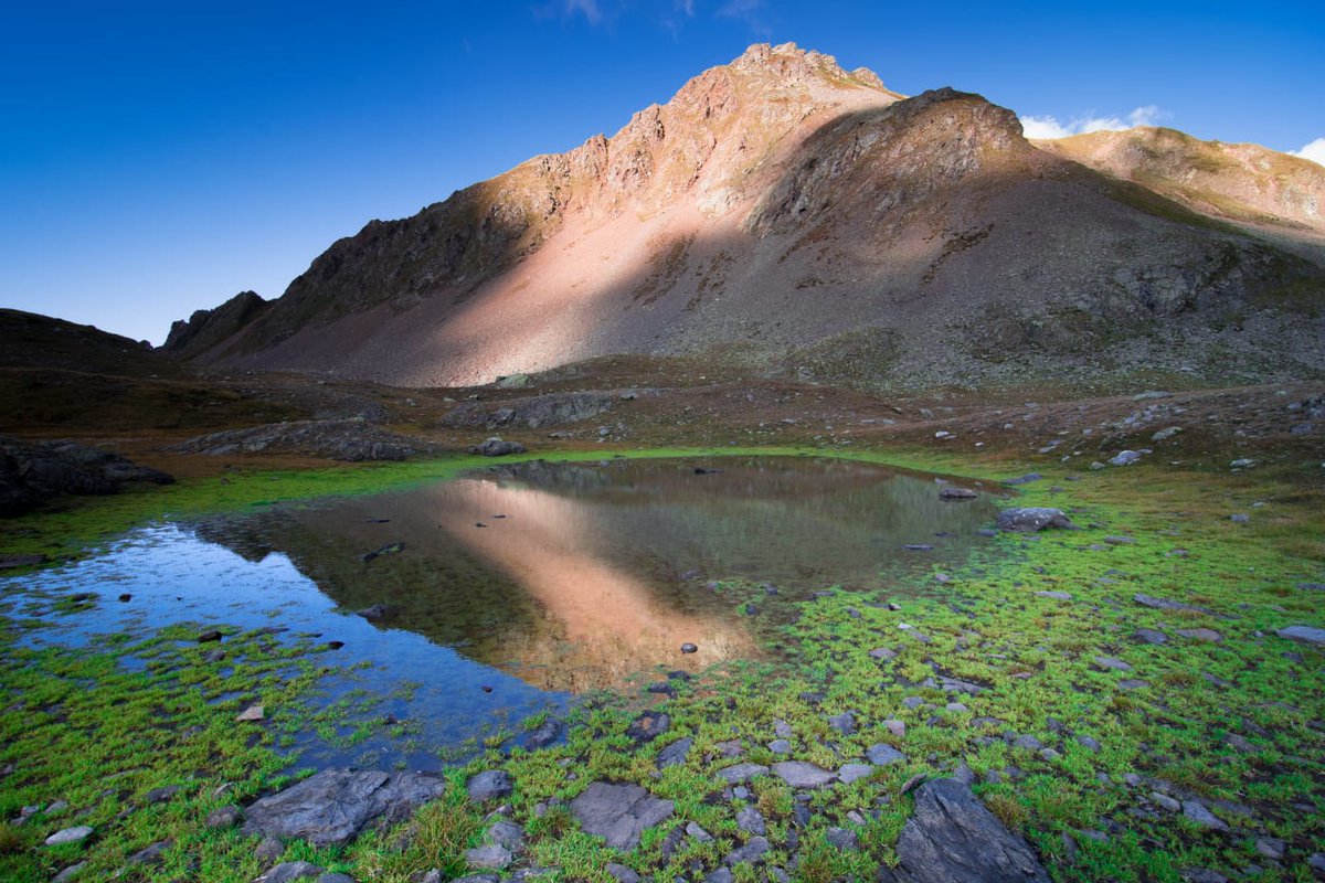 .
#I_MONTI_DI_VENERE

Percorro i mondi
- sassi, crateri -
per la dimora
per il piacere.
Venere, rorida
stella, m'attrae:
vedo un boschetto
sopra una rosa.
Corro alla posa.
Sorvolo il monte 
in furia e fretta
sfioro la vetta.
Il cargo accede al suo
rifugio. Più non indugio.
.
ZûP